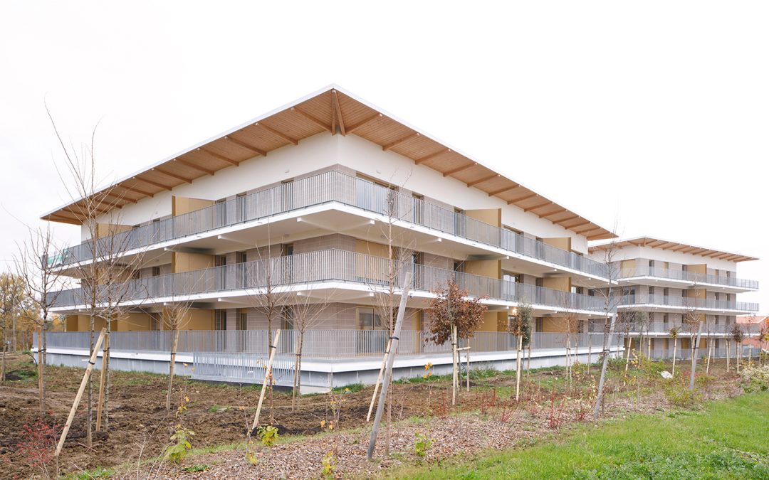 Logement Patio d&rsquo;Icare – CORNEBARRIEU