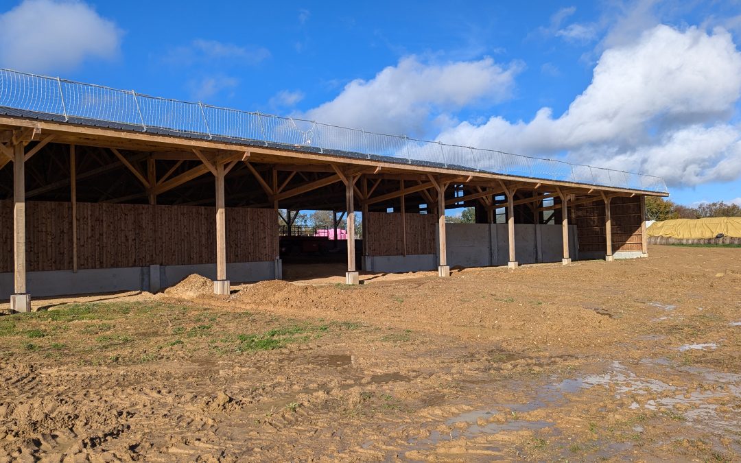 Construction d’un manège à chevaux – AUSSOS
